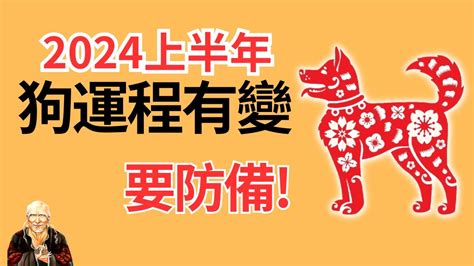 1970 屬狗2024 運勢|属狗1970年出生的人2024年全年运程运势